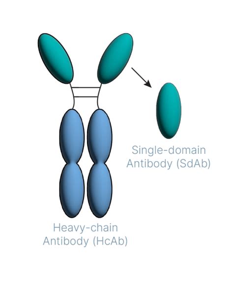 SDAB